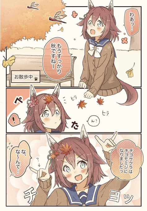 チヨちゃんとおさんぽ行ってきました 