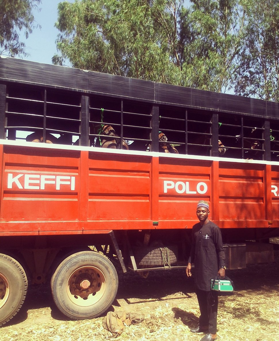 Mr. Peter Obi in Nasarawa.
 Keffi is Obidient. 
My horses are Obidient. Your want to Own a horse? DM me 

#PeterObiForPresident2023  #PeterObiChallenge