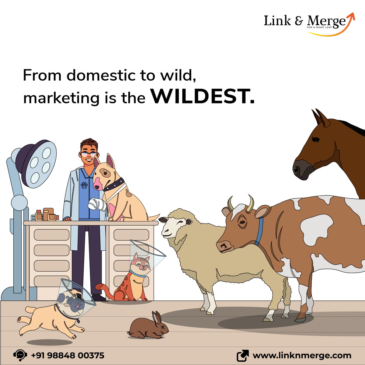 LinknMerge's tweet photo. L&amp;M makes your veterinary practice effortless.
We make pet owners understand the importance of pet health care with periodic contents to build trust and educate your client with our contents.
L&amp;M designs your website with engaging blog &amp; adorable images. 
#WhoIsDonna #LinknMerge https://t.co/mfyVDvBPnX