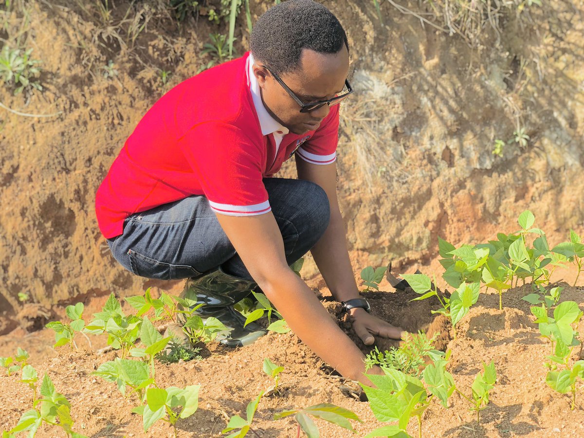 DUSAF12's tweet photo. Urubyiruko rwiga muri @UR_Huye  rwibumbiye muri #DUSAF, rwifatanyije n'Ubuyobozi bwa karere ka @HuyeDistrict  n'Itsinda ry'abakozi ba @UNRwanda bifatanije n'abaturage bo mu murenge wa Ruhashya mu muganda rusange usoza ukwezi k'Ukwakira. haterwa ibiti bivangwa n'imyaka kuri 10 Ha. https://t.co/1U7L4xoh0T
