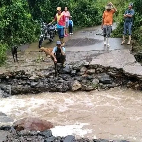 LuqueOmaira's tweet photo. Más de 50 familias se encuentran incomunicadas en el sector Bitubú del municipio Candelaria, estado Trujillo por las intensas lluvias. Los habitantes le hacemos un llamado al gobernador @gerardomarquez4fpsuv para que atienda ésta contigencia ya que no cuentan con la ciudadana... https://t.co/sU8toHMj0f