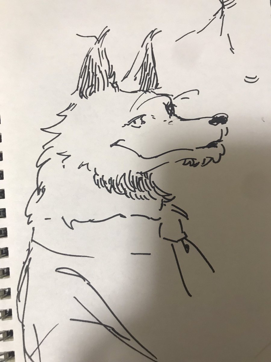 羽根とかけものを描くとHPが回復するシステムなんです 