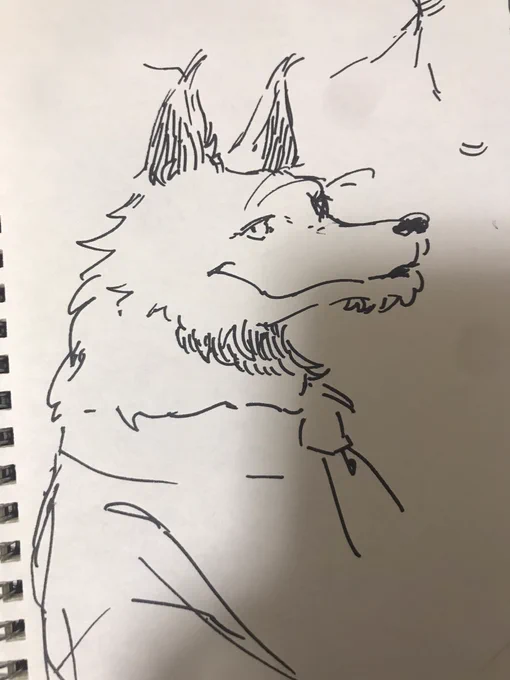 羽根とかけものを描くとHPが回復するシステムなんです 