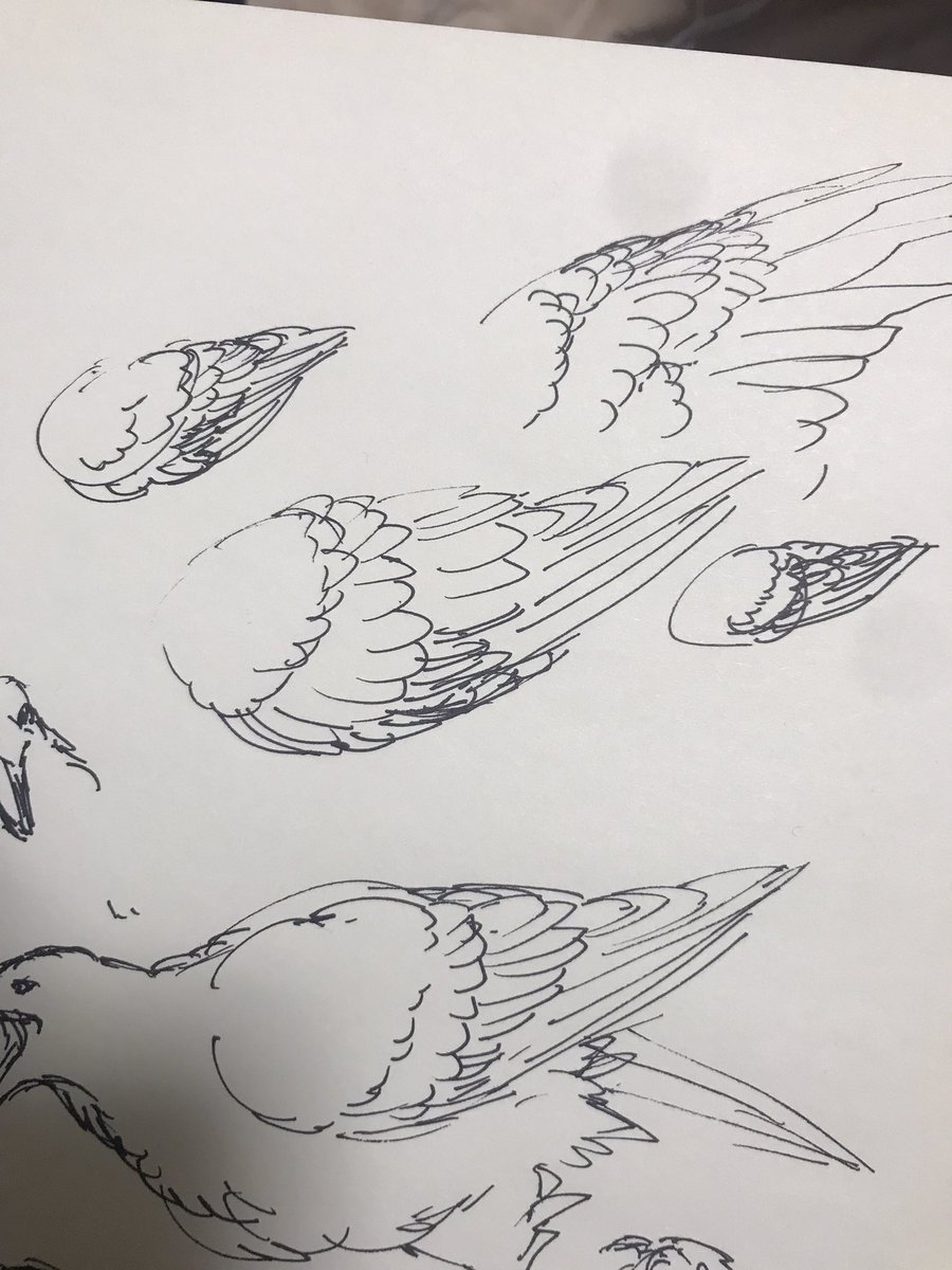 羽根とかけものを描くとHPが回復するシステムなんです 