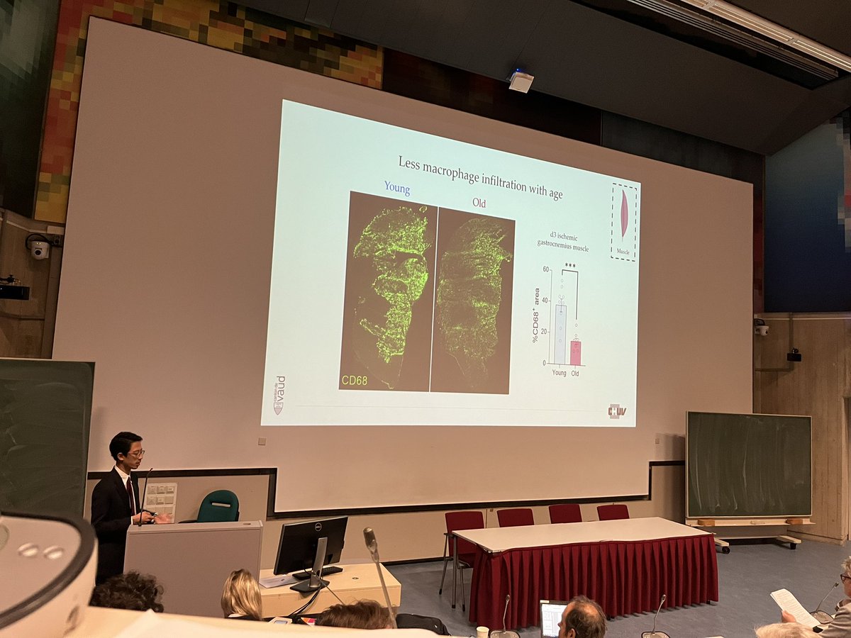 Ageing, Macrophages and Vascular Ischemia - Great Talk by Dr Kevin Kiesworo!!! #BVSLeiden <a href="/VascularBiol/">Vascular Biology</a>  <a href="/paulquax/">Paul Quax</a> <a href="/drjanicetsui/">Janice Tsui</a>