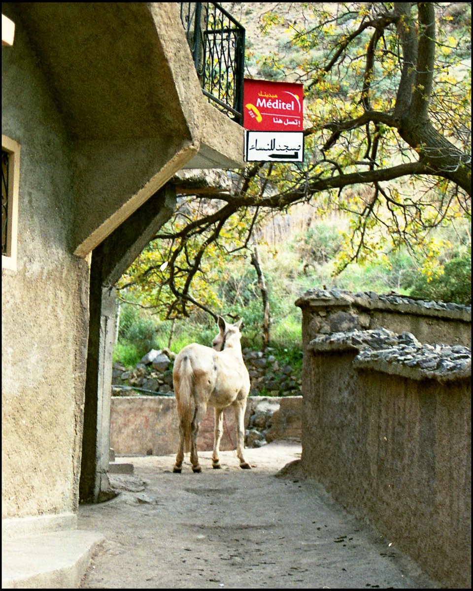 GM from Atlas Mountains.
#35mmfilm