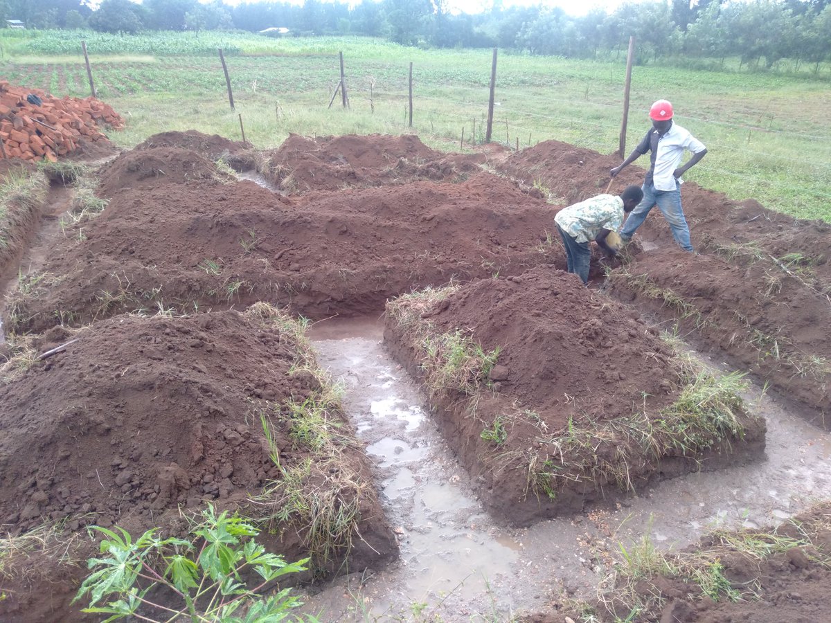 Otimejja's tweet photo. @amerix Hello everyone,my name is OTIENO MICHAEL,a Q.S n Graduate constr. manager 
Do u have architectural hse plan or intend 2 build a hse or any bldg n don't know hw much it cost,u can reach out 2 me, I draft BQs,check my profile 4 more info n call #MasculinitySaturday  #involveQS https://t.co/4sNvDc7o0X