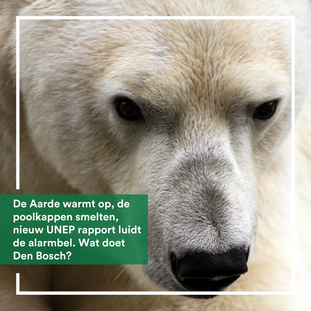 Pijnlijk om te zien hoe het nieuwe UNEP rapport aangeeft wat er mis is met het klimaatbeleid en hoe dit ook precies op Den Bosch slaat ⚠️🌡️ Hopelijk luistert het college naar de wetenschappers die hier al jaren voor waarschuwen, wij stellen vragen: denbosch.partijvoordedieren.nl/vragen/schrift…