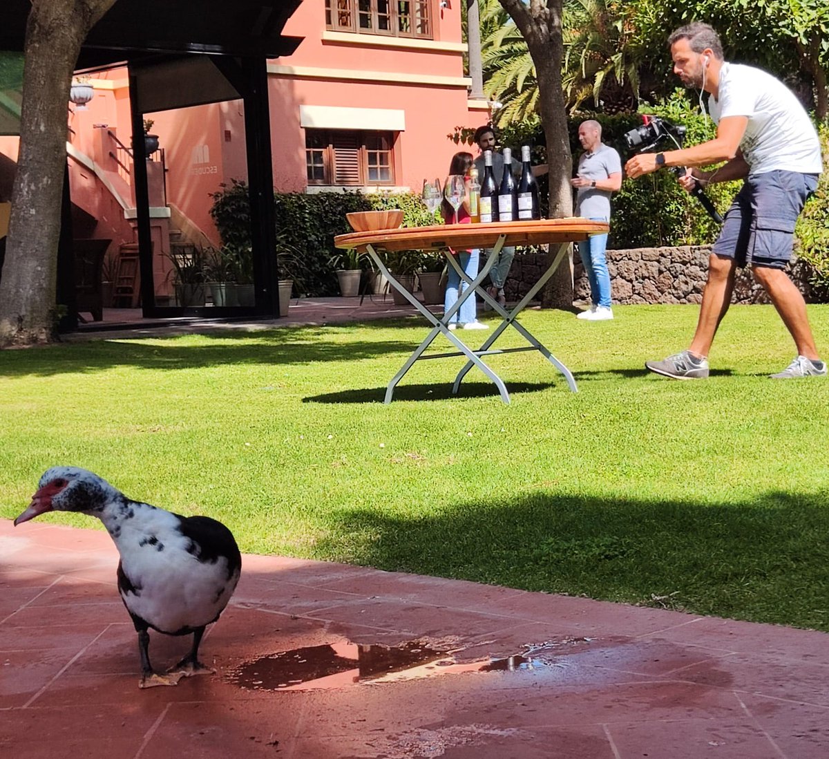 Clúster Enoturismo Canarias tweet media