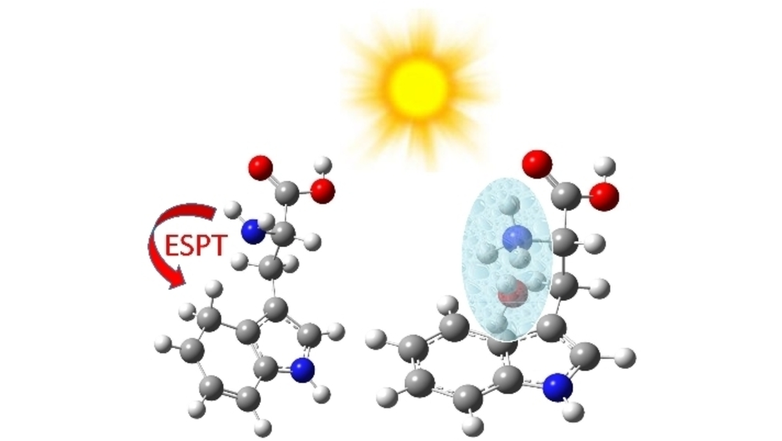 Conformer-selective Photodynamics of TrpH+-H2O (Gregoire) #OpenAccess onlinelibrary.wiley.com/doi/10.1002/cp…