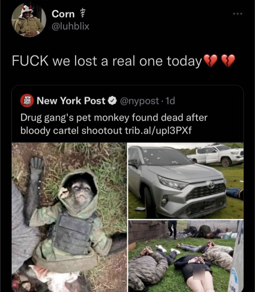 Binary_Data's tweet image. F :'(