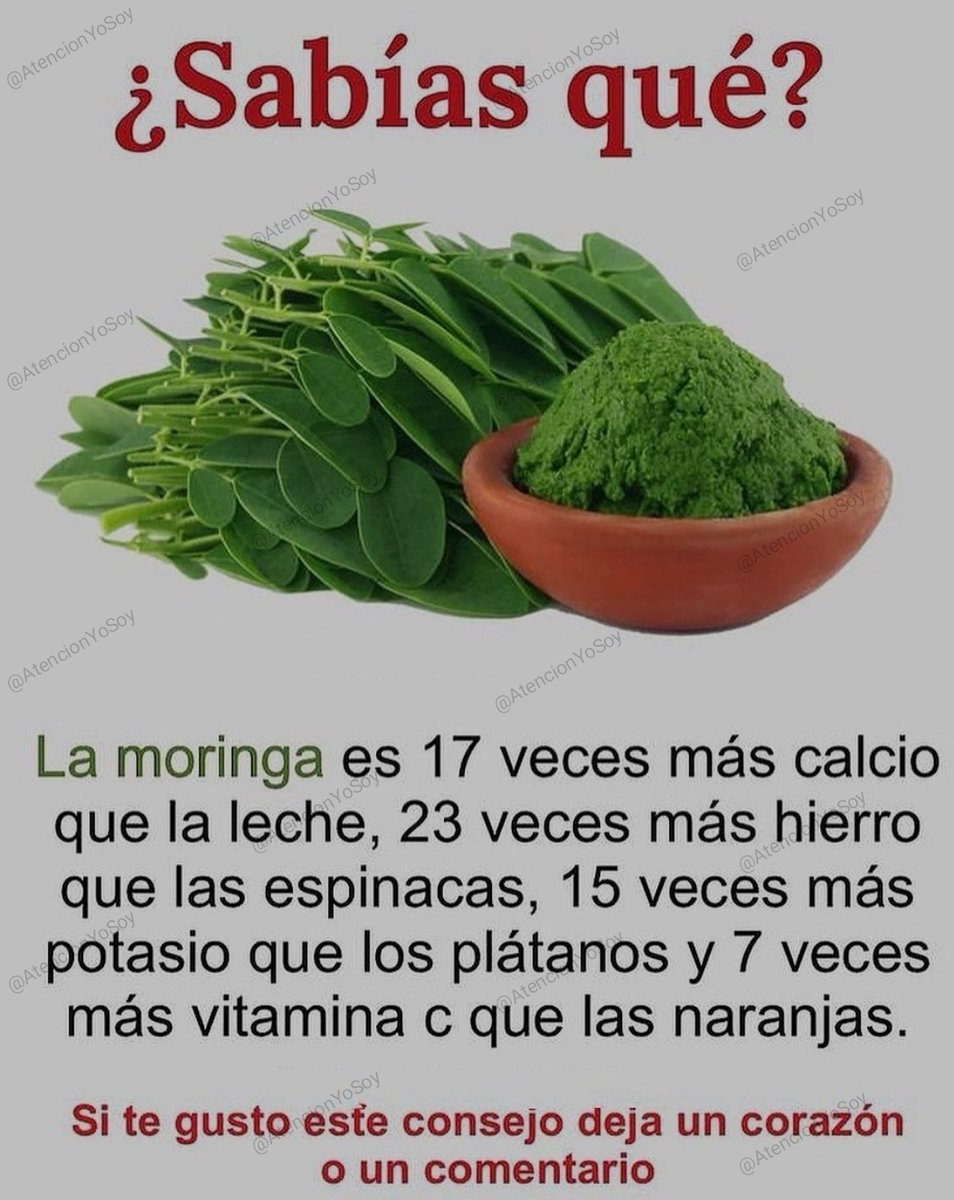 AtencionYoSoy's tweet photo. 🙏✨💫🌞Tip Salud🌞💫✨🙏

*Regálame un Hola para saber que me lees* https://t.co/QnWaVvRZ9i