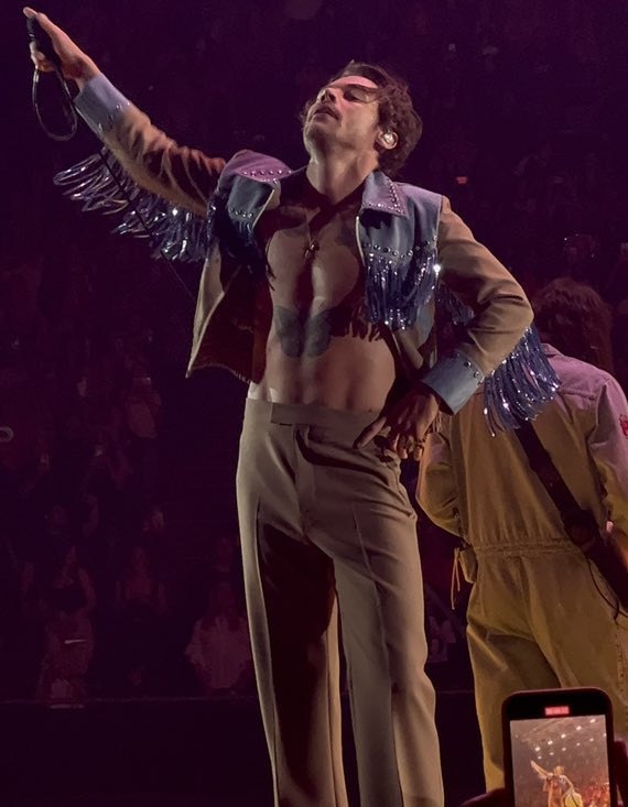 hiddlouistan's tweet photo. HIS HAIR AND THE DANCE MOVES, I CAN'T HARRY STYLES IS SO MAJESTIC https://t.co/VgynbxFukH