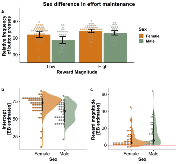 cornu_copiae's tweet photo. Women &amp; men show differences across various domains of value-based decision-making, but what about instrumental effort? 
We see that women work harder &amp; report higher wanting for small rewards. Men catch up for large rewards. Work w/ @Car0Lewis et al
https://t.co/RwpYe0OUPQ https://t.co/KDA5KCbkUs
