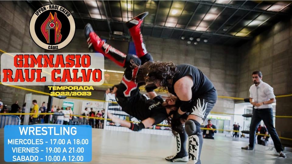 Nueva temporada de entrenamientos, nuevo gimnasio, nuevos horarios.

Y es que la NTWE se traslada al gimnasio Raúl Calvo !!!

Estamos en la calle Dorotea N°2 en horarios de:

Miércoles de 17:00 a 18:00
Viernes de 19:00 a 21:00
Sábado de 10:00 a 12:00

Más información por privado.