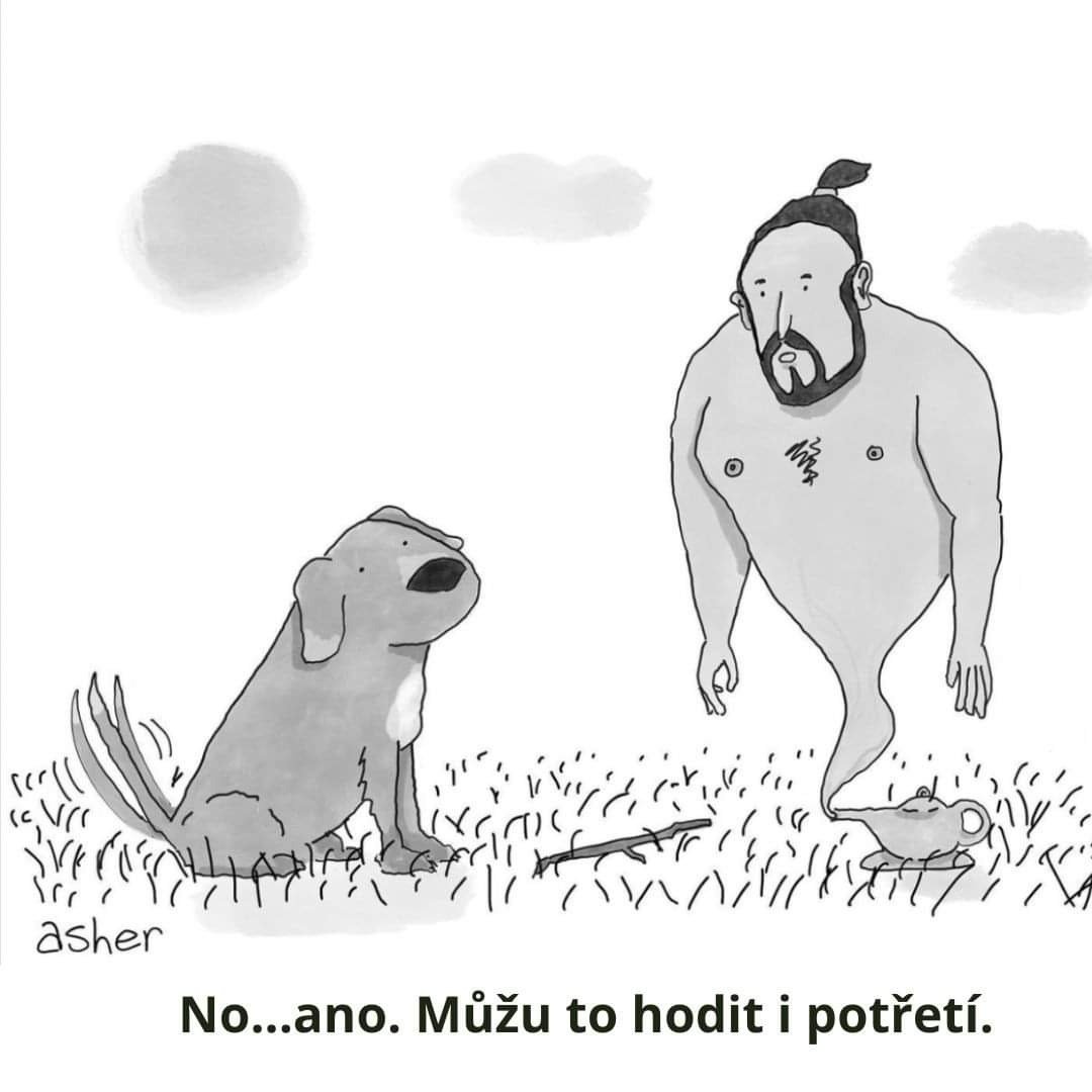 Miloslav Hůla tweet media