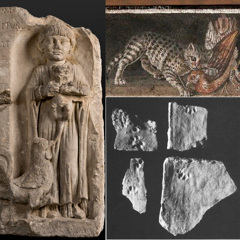 TrimontiumTrust's tweet photo. Happy #NationalCatDay! Cats were important to the Romans. Skillful mice hunters, the armies used cats to protect their stores from vermin. Cats followed the legions all the way to Britannia. Cats were depicted in funerary monuments, mosaics & paintings. https://t.co/30GnSzRdAn