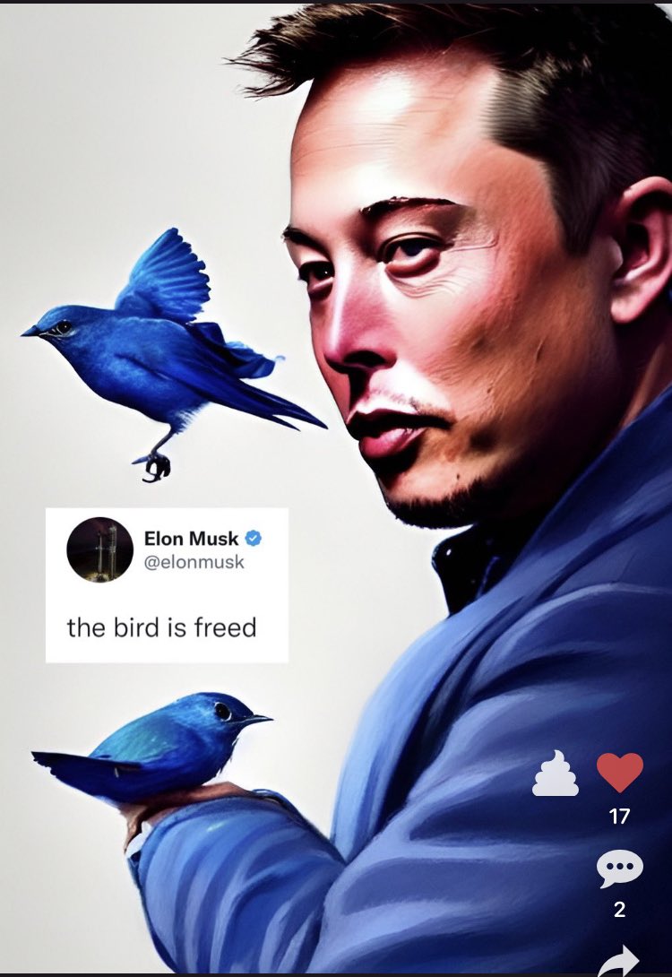 NFTItalianlover's tweet photo. Gm @elonmusk new life for #Twitter
#ELONMUSK #media #BIRDISFREE https://t.co/if3lm9dKaC