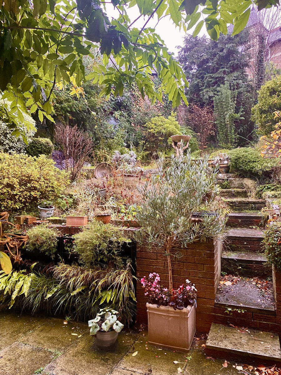 Eleanor Willock tweet media