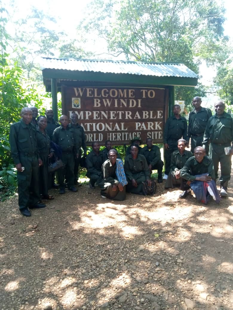 BWINDI RETIRED RANGERS tweet media