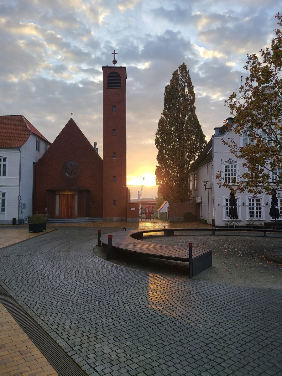 HarryJohnsonZF tweet media