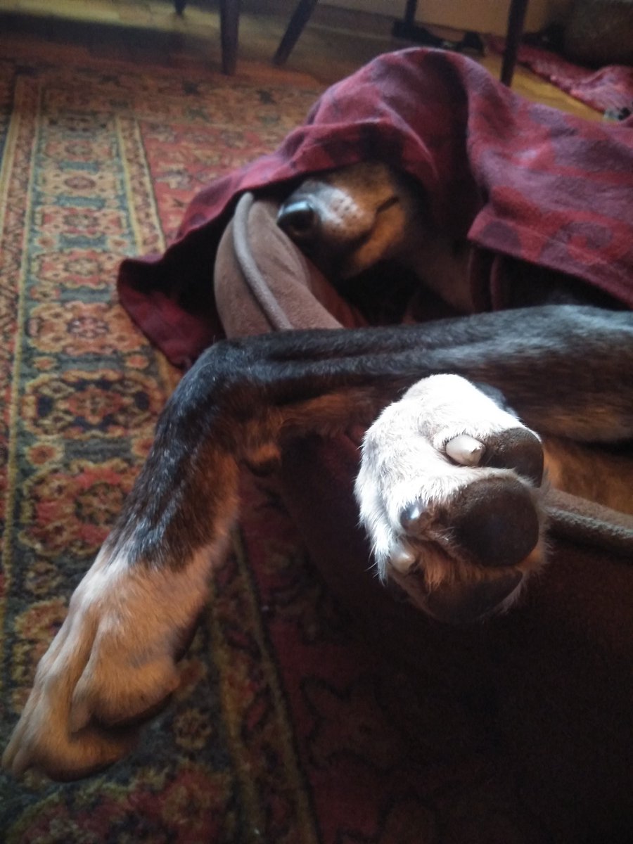 Maybe Sheryl Crow All I want to do? Chain? Ex teacher? Andrew  @ &amp; Jasper 🐾 berwynluxe.com 
<a href="/themarkrad/">Mark Radcliffe</a> <a href="/BBCRadio4/">BBC Radio 4</a> <a href="/GNev2/">Gary Neville</a>