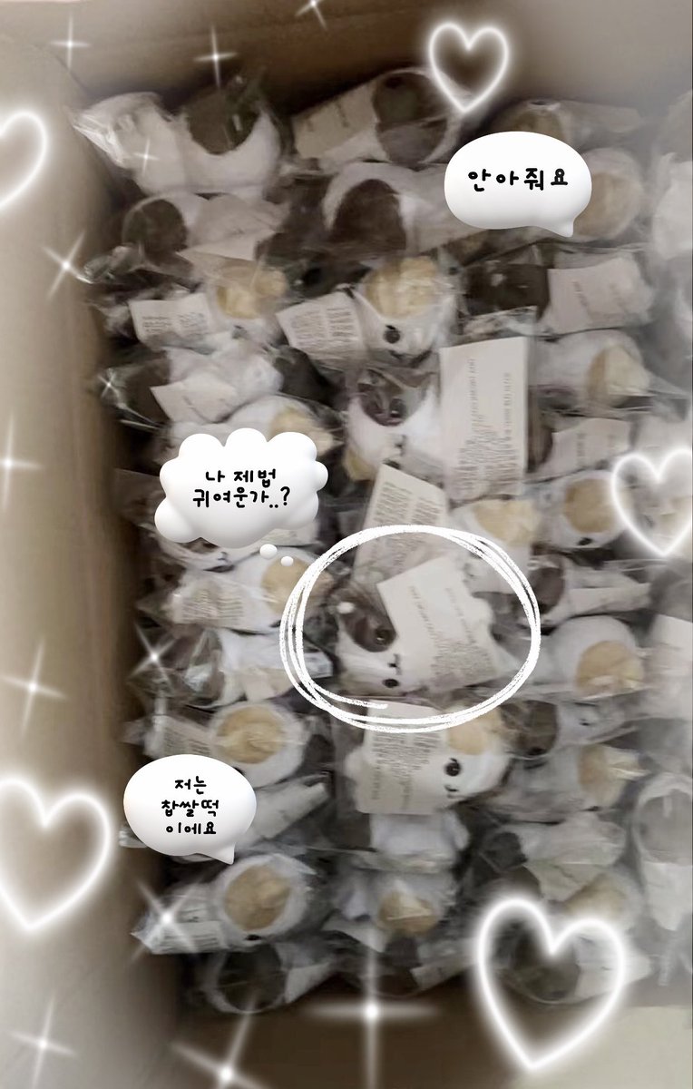 .....∧_∧
.. ( ̳• ·̫ • ̳) ♡ 🐾
┏ー∪∪━━━━━━━━┓
  ♡°•. 집단‘쮝’성 .•°♡
┗━--━━━━━•━━┛