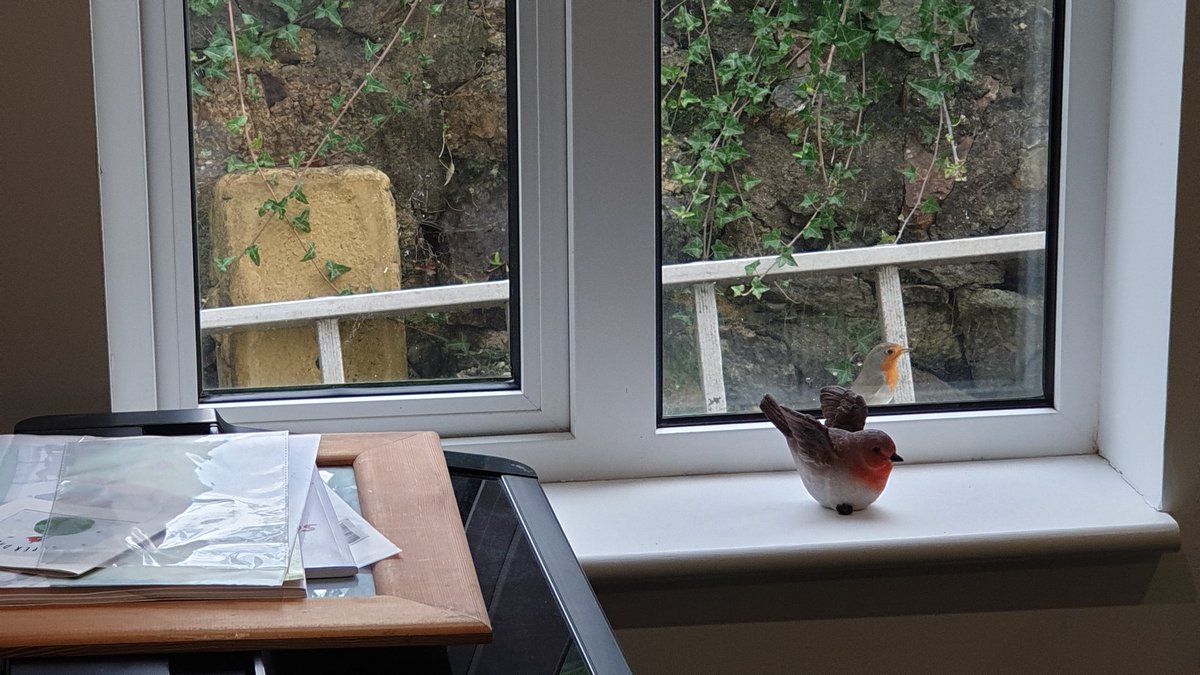 Jason Magee tweet media