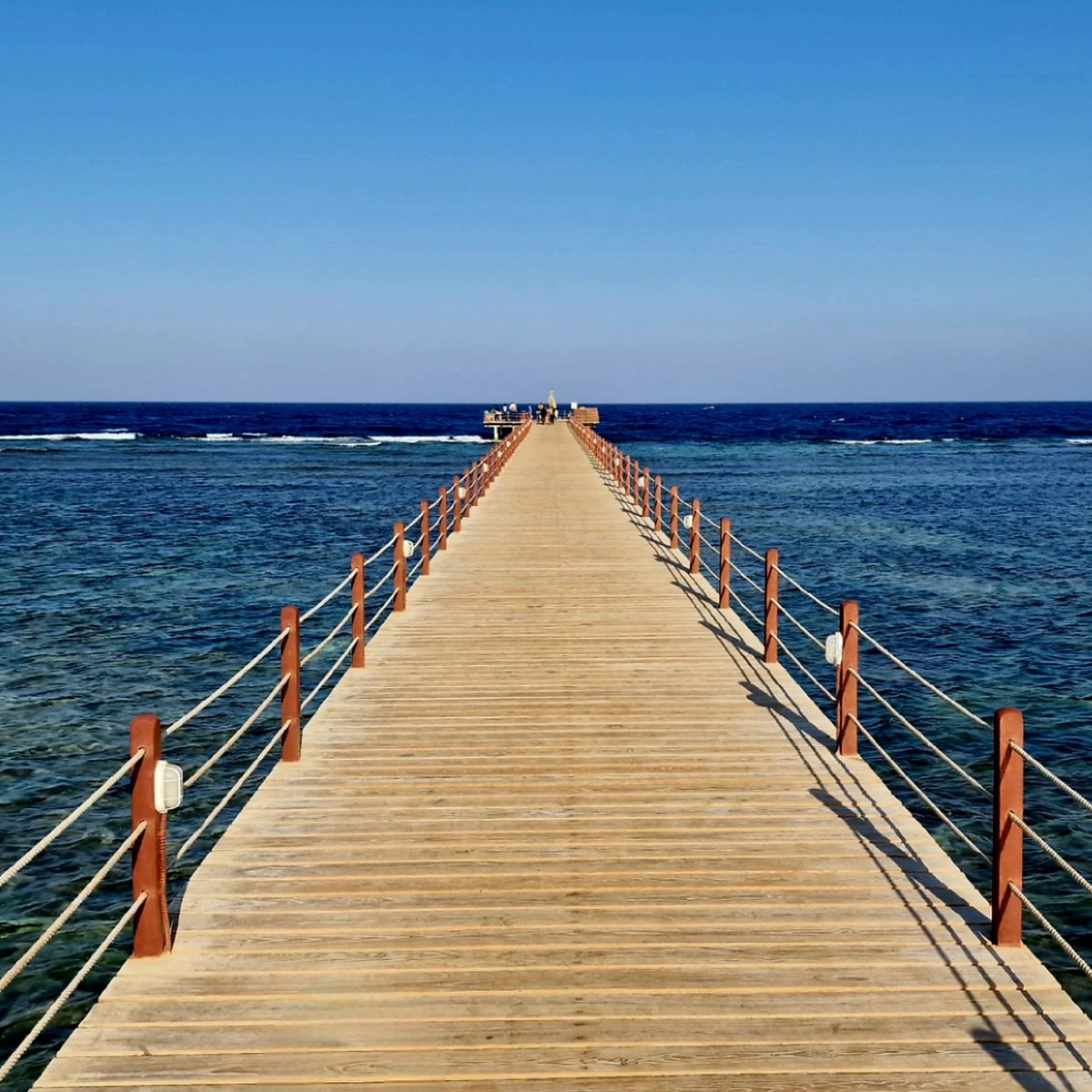 ErwanSavin's tweet photo. Marsa Alam
House Reef 😎
#marsaalam #MerRouge  #redsea #Egypte https://t.co/rPf4DTkXps