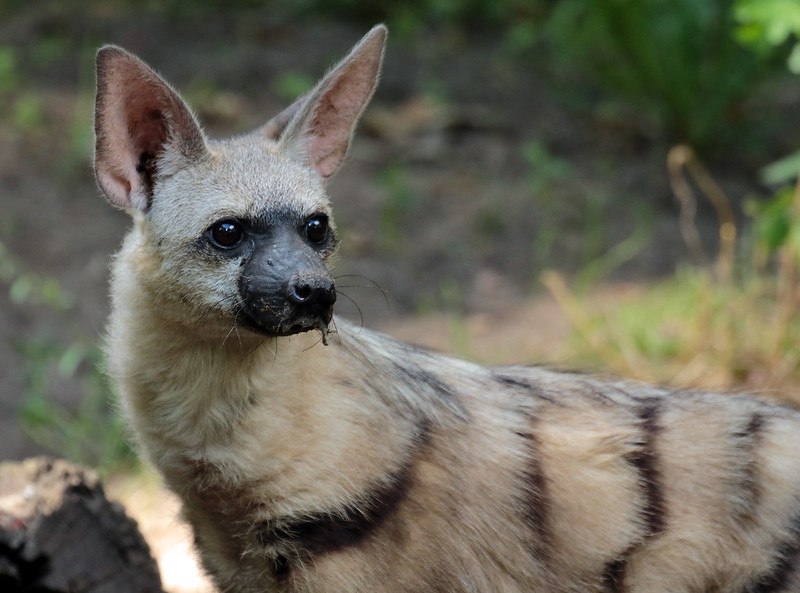 HourlyYeen's tweet photo. https://t.co/3hbp7HGBWL