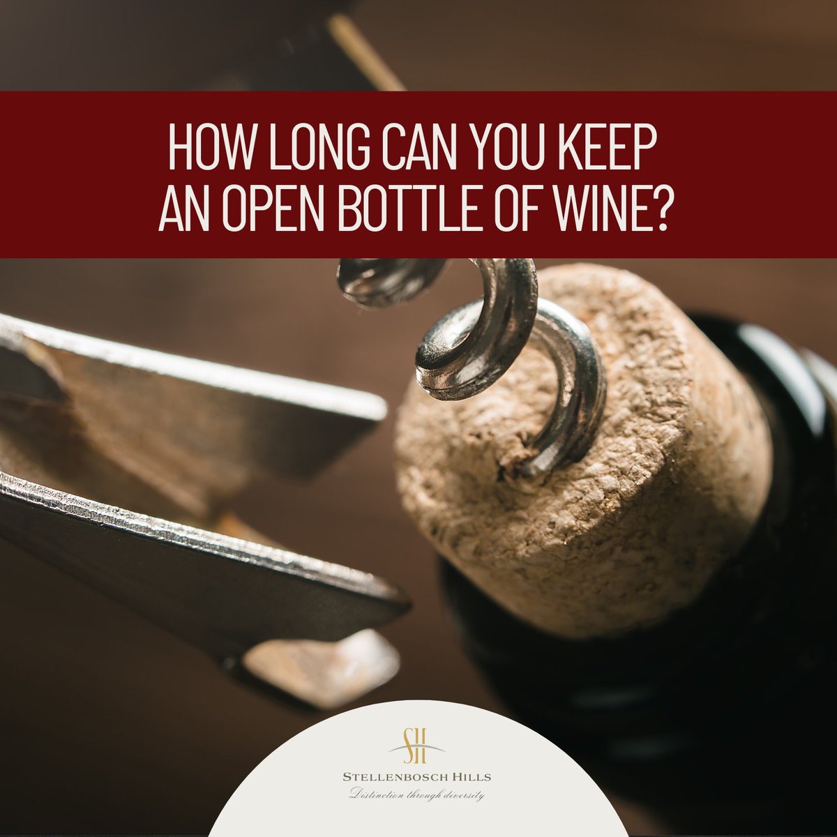 Stellenbosch Hills tweet media