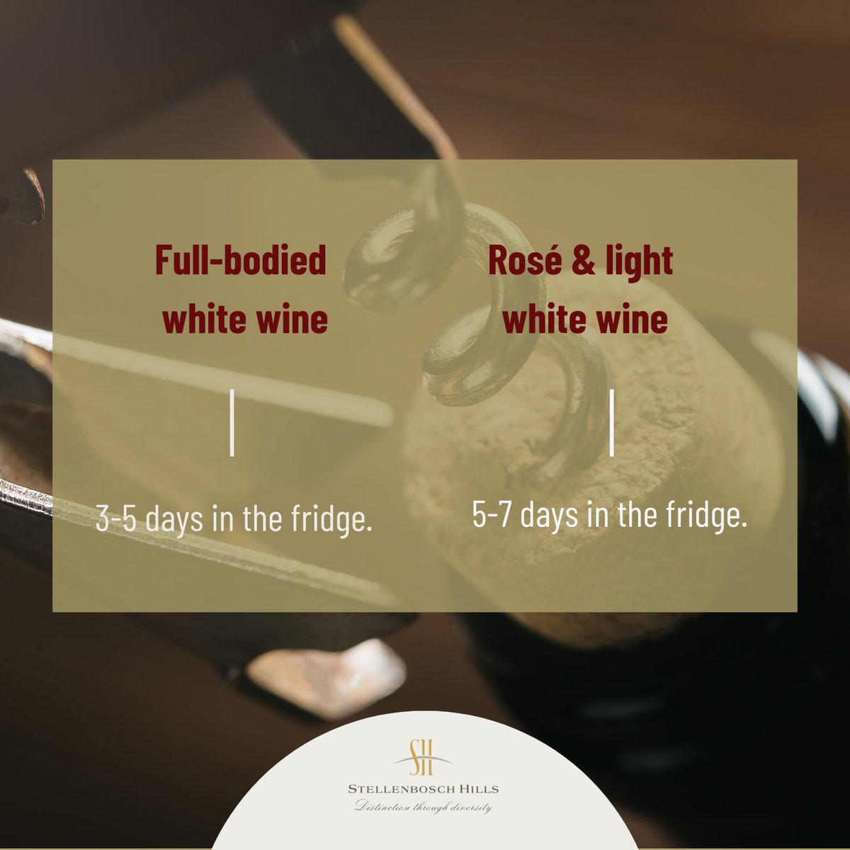 Stellenbosch Hills tweet media