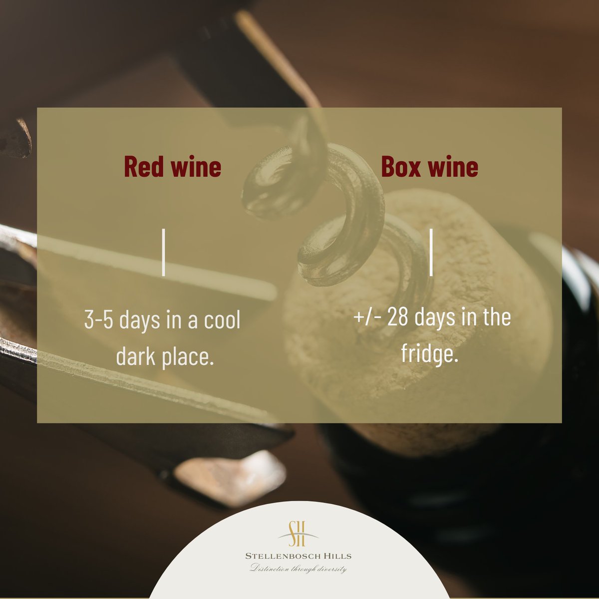 Stellenbosch Hills tweet media