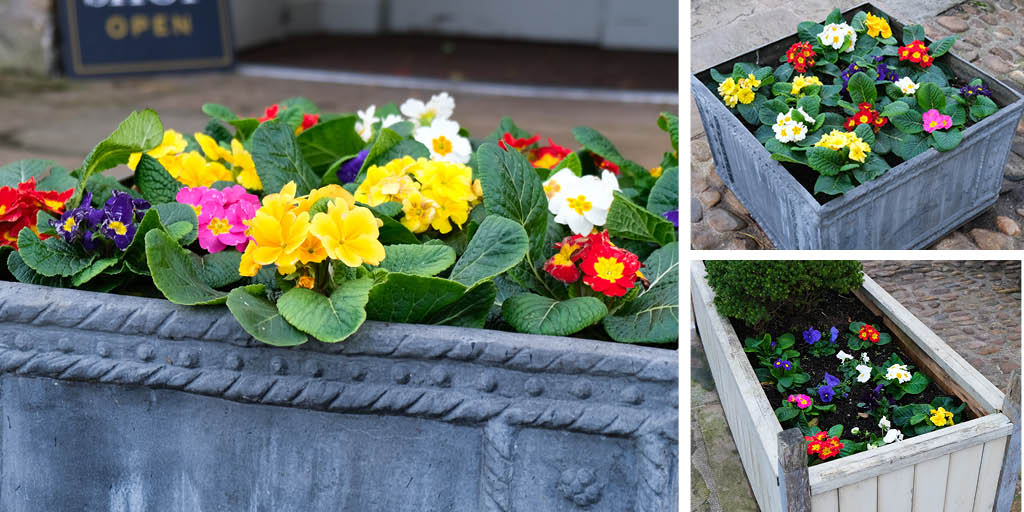 thefleece_inn's tweet photo. With winter looming, it doesn't harm to add a nice splash of colour 😍
#TraditionalInn #CountryInn #Pub #CountryPub #FlowerTime #PubsInBloom #Lancaster #Garstang #Lancashire https://t.co/1lrSNUb998