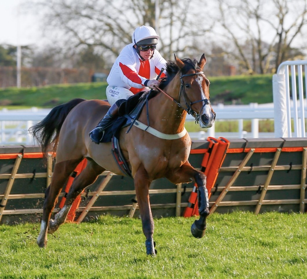 racingblogger's tweet photo. 💷 If GOSHEN wins the 1.30 at Ascot today I'll give £50 CASH to one of you lucky people! 🍺

To Enter: 👇

1️⃣ RT this Tweet 
2️⃣ Follow @racingblogger 

📸 https://t.co/MKtySjdgb3

#Win #Ascot #CashOut https://t.co/np81J35dFN