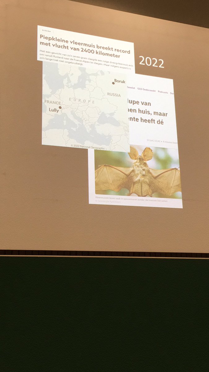 Vleermuis nieuws in de media #VLENDAG