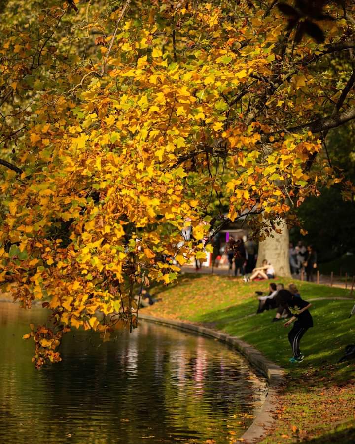 FranceinColombo's tweet photo. An autumn in Paris 🍂
📸 @judith.litvine and @jonathan_sarago / MEAE
#quaidorsay #paris #autumn #fall #fallinparis #france #parisview #viewofparis #parisfrance #francediplo #topphotosparis #photography #eiffeltower #toureiffel #montmartre #tuileriesgarden https://t.co/t0J0oPyPAw