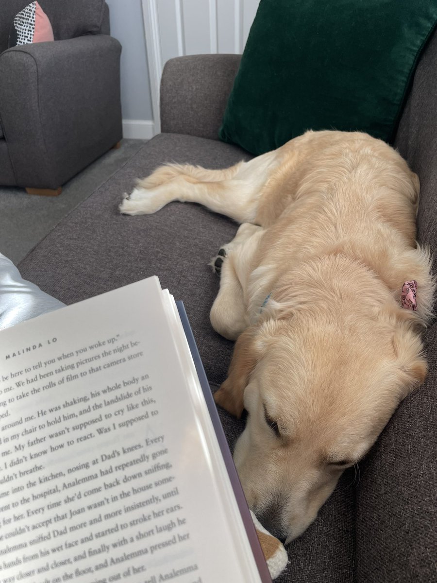 SarahAnneCarr19's tweet photo. She’s a good reading buddy https://t.co/CJkBL1G6vk