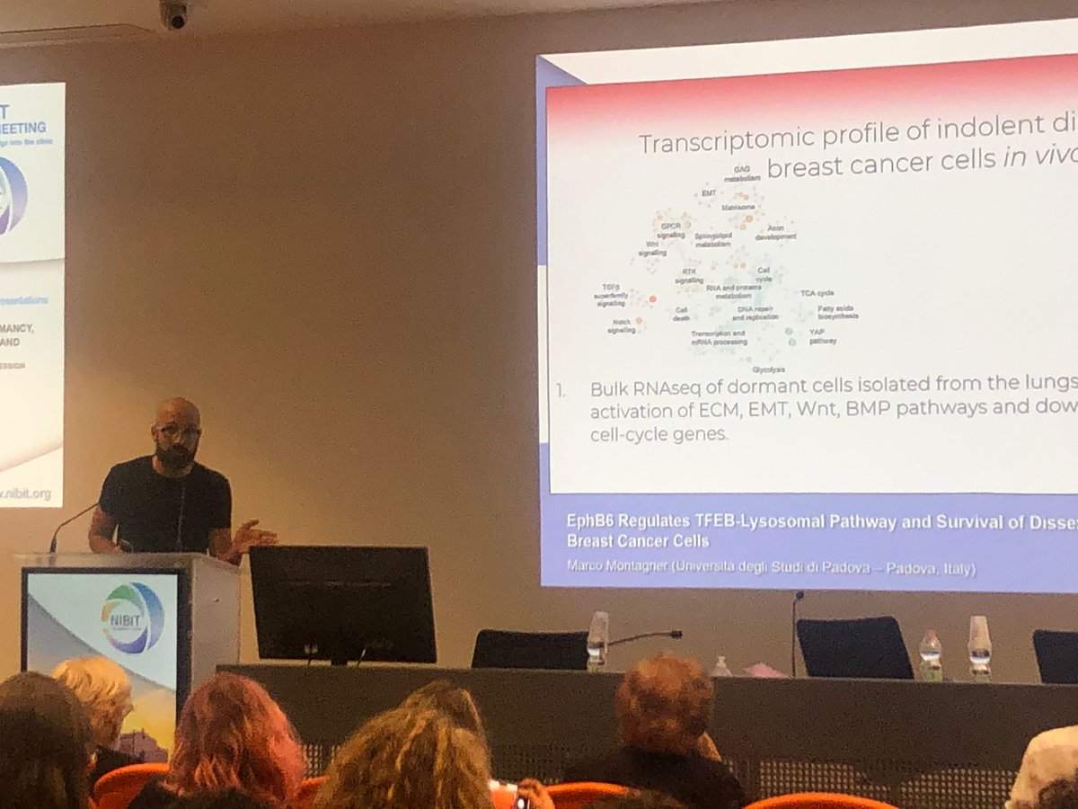 MontagnerLab's tweet image. We have been to the XX NIBIT Annual Meeting, where I gave a talk on survival strategies of disseminated dormant breast cancer cells. Astonishing data on patients treated with immunotherapies. At the end I was knocked out by the number of lymphocytes subsubsubsubtypes I heard.