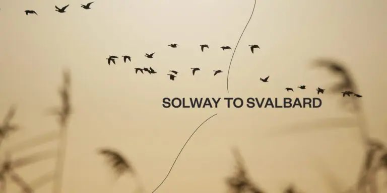 It’s SOLD OUT - can’t wait to see this tonight, homegrown with tremendous perseverance from <a href="/StuartM_Music/">Stuart Macpherson</a>, @EmmaDoveFilm &amp; Pete Smith. Some fantastic musicians to bring it to life and the skills of <a href="/andersondavey/">Davey Anderson</a> and belief of @anna_b_hodgart wildgoosefestival.scot/event/solway-t… <a href="/TheStovies/">The Stove Network</a>