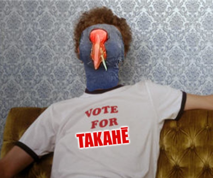 VoteTakahe's tweet photo. "People only vote for birds who have great skills" - Napoleon Takamite 🤓 Takahē may not have nunchuck skills, but they do have impeccable hiding skills, courtship skills, and chonking skills. 

#votetakahē at https://t.co/mgT1C4GdrD now! #birdoftheyear #boty @Forest_and_Bird https://t.co/DE84wdICGK