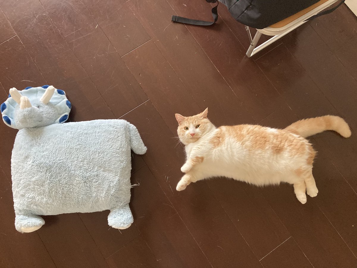 びちる tweet media