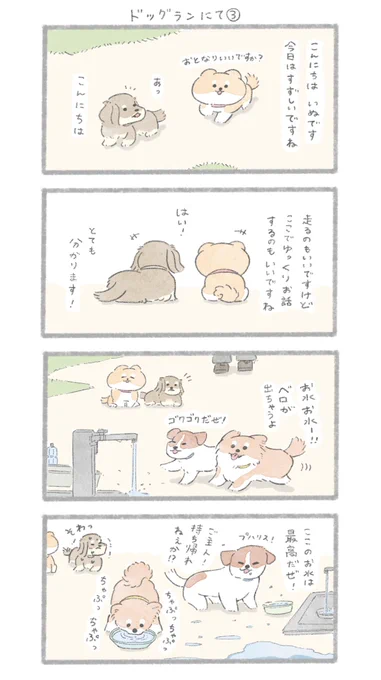 「ドッグランにて」③と④#こんにちはいぬです 