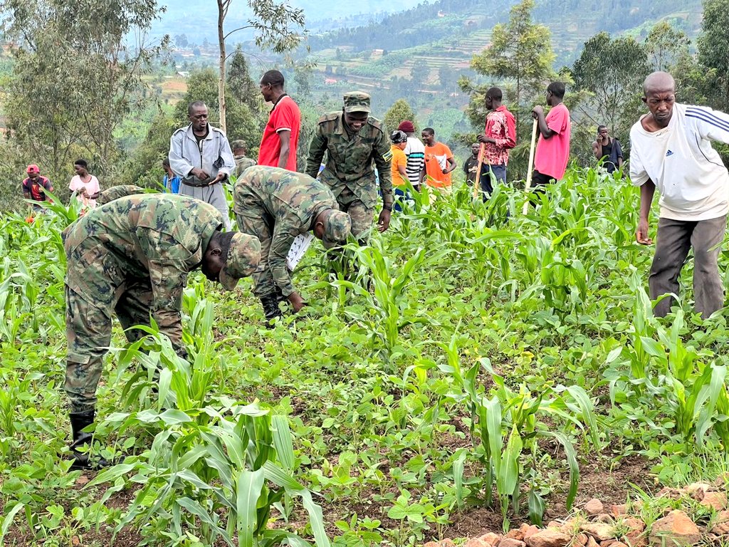 Muhangadis's tweet photo. #BiriKuba Hirya no hino mu Midugudu yose; abayobozi n'abaturage baramukiye mu #muganda rusange usoza #Ukwakira2022, uri kwibanda ku gucukura no gusibura imirwanyasuri n'ibindi bikorwa bigamije guhangana n'ingaruka z'imvura nyinshi, kubagara ibigori no kubirwanyamo nkongwa,.... https://t.co/Fnb4u6KS09