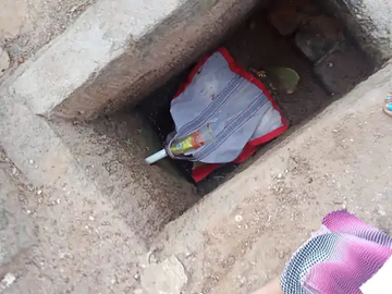 Madhya Pradesh Thief