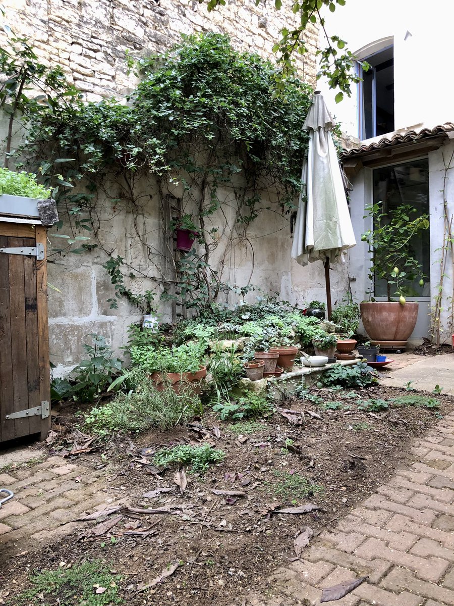 cecile_girardin's tweet photo. Bienvenue au label du #gods dans mon jardin à #niort. Le groupe ornithologique des #deuxsevres incite les particuliers et les entreprises à protéger la biodiversité par la signature d’une charte. Retrouvez l’association au #fifo à #menigoute. https://t.co/AuoJgTbJwA