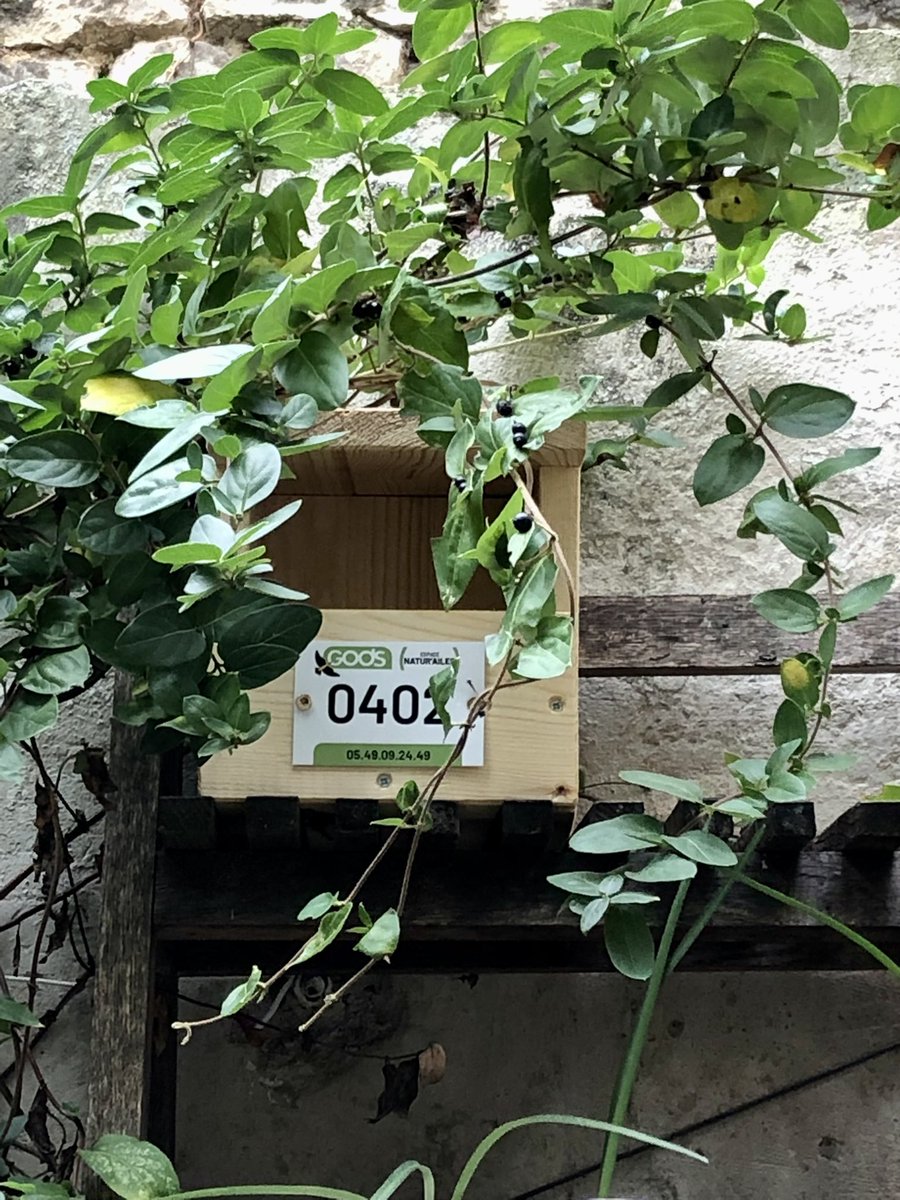 cecile_girardin's tweet photo. Bienvenue au label du #gods dans mon jardin à #niort. Le groupe ornithologique des #deuxsevres incite les particuliers et les entreprises à protéger la biodiversité par la signature d’une charte. Retrouvez l’association au #fifo à #menigoute. https://t.co/AuoJgTbJwA