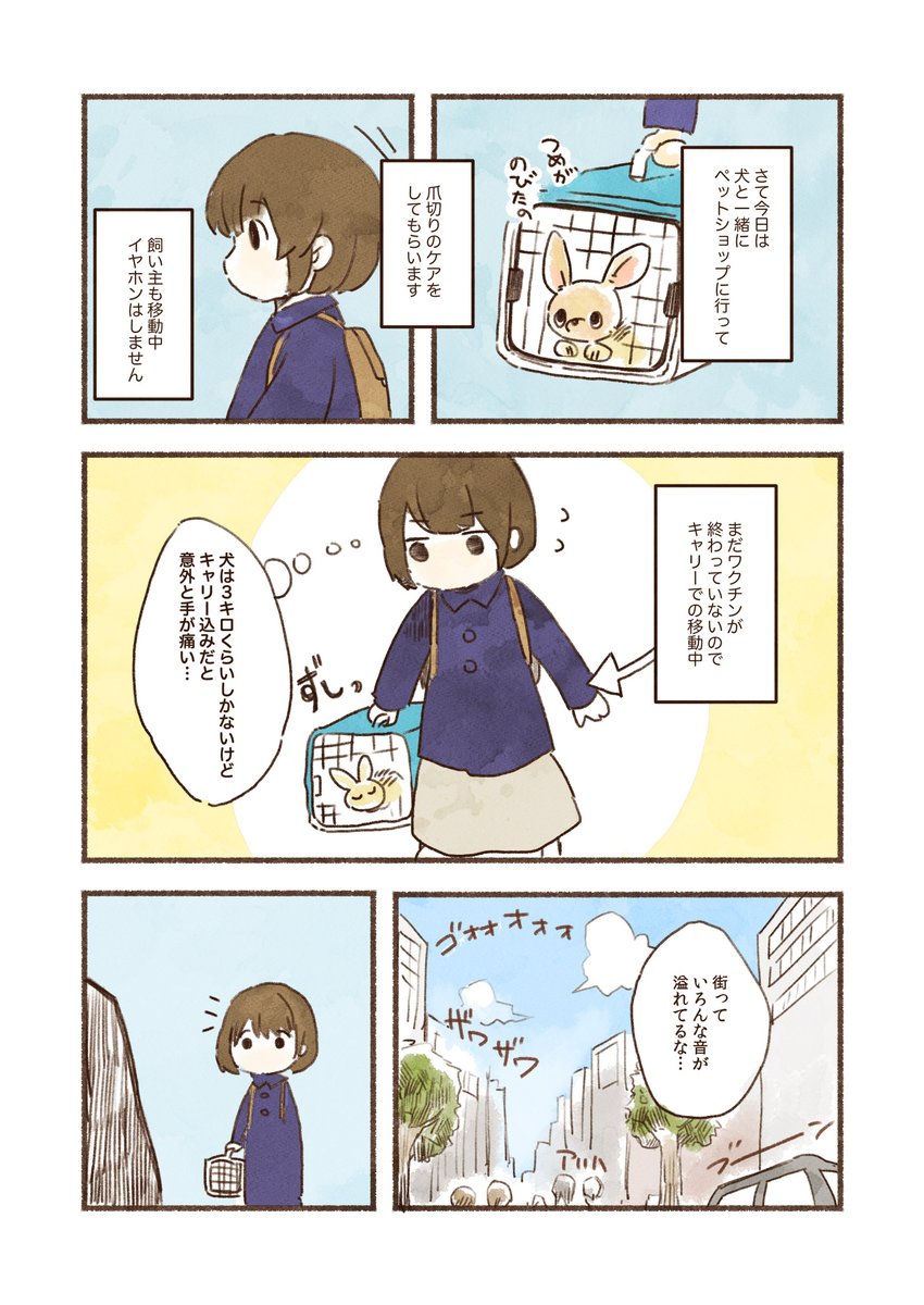 犬を飼ったら世界がちょっとあったかくなった話🐶 