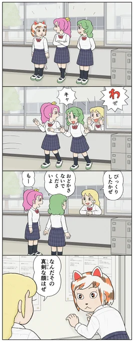 猫の反応 
