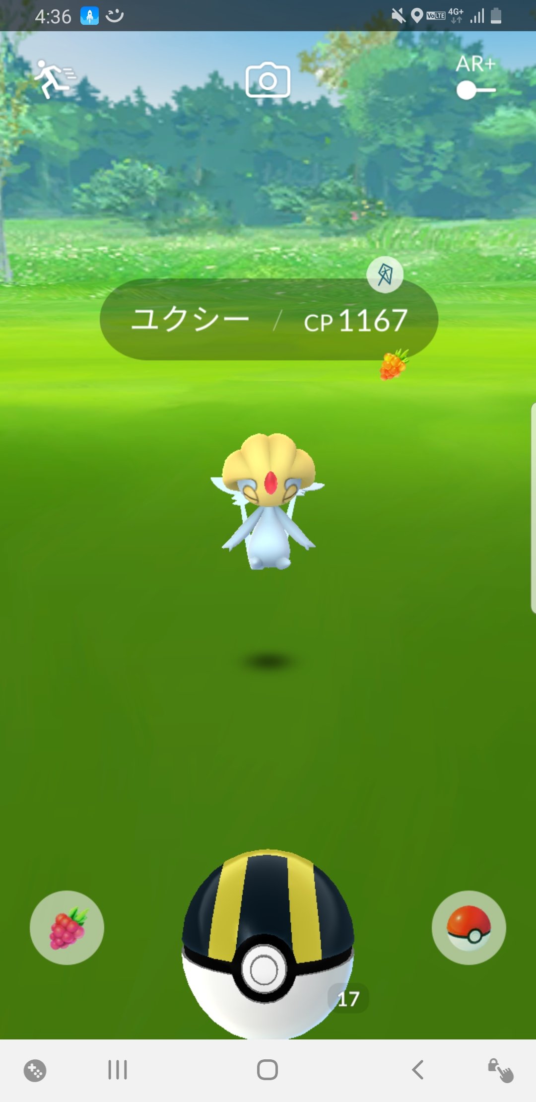 野生ユクシー Twitter Search Twitter
